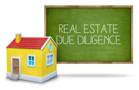 Property Due Diligence Report - Basic